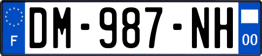 DM-987-NH