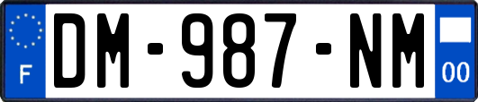 DM-987-NM