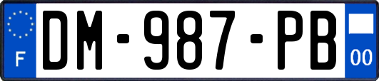 DM-987-PB