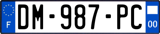 DM-987-PC