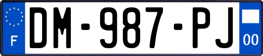 DM-987-PJ
