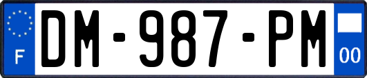 DM-987-PM
