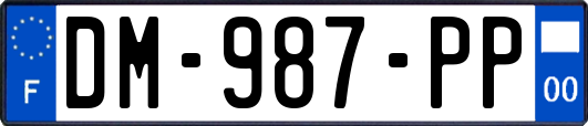 DM-987-PP