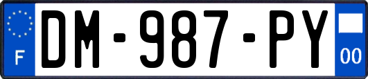DM-987-PY