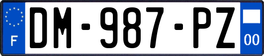 DM-987-PZ