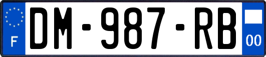 DM-987-RB