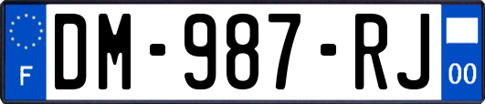 DM-987-RJ