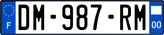 DM-987-RM