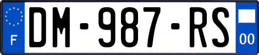 DM-987-RS