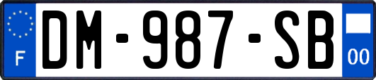 DM-987-SB