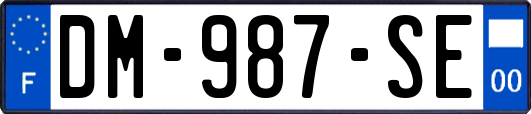 DM-987-SE