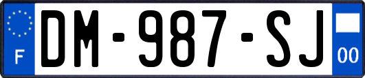 DM-987-SJ