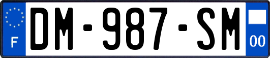 DM-987-SM