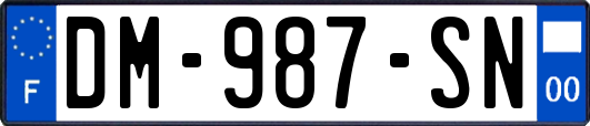 DM-987-SN