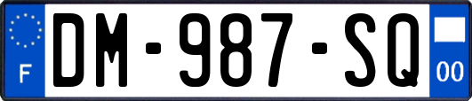 DM-987-SQ