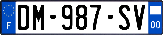 DM-987-SV