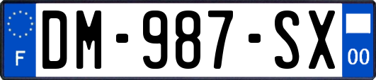 DM-987-SX