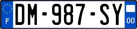DM-987-SY