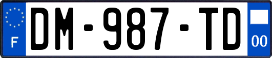 DM-987-TD