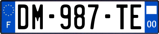 DM-987-TE