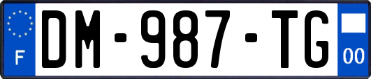 DM-987-TG