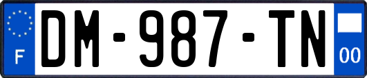 DM-987-TN