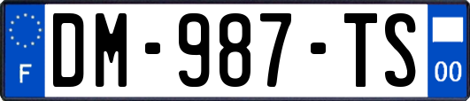 DM-987-TS