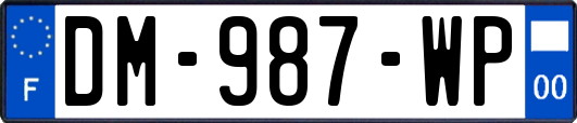 DM-987-WP