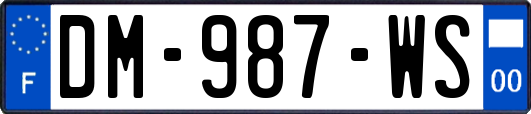 DM-987-WS