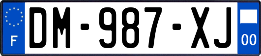 DM-987-XJ