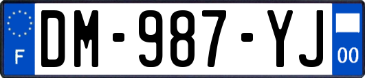 DM-987-YJ