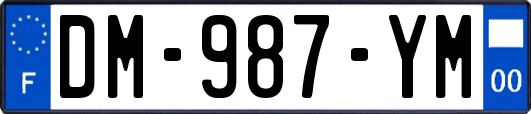 DM-987-YM