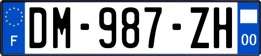 DM-987-ZH