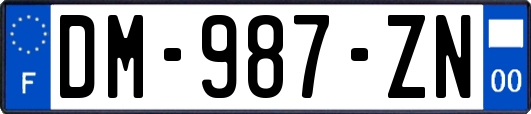 DM-987-ZN