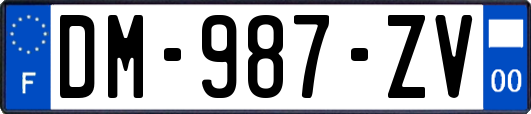 DM-987-ZV