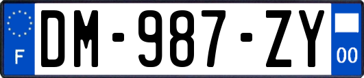 DM-987-ZY