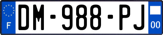 DM-988-PJ