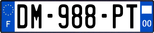 DM-988-PT