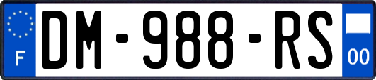 DM-988-RS