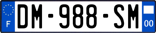 DM-988-SM