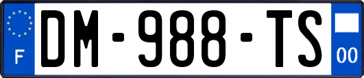 DM-988-TS