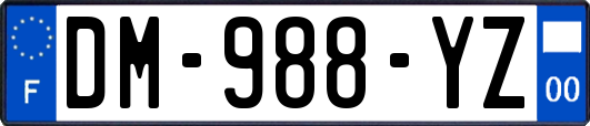 DM-988-YZ