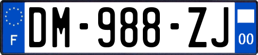 DM-988-ZJ