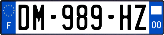 DM-989-HZ
