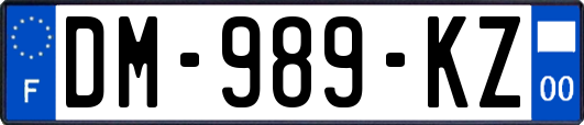 DM-989-KZ