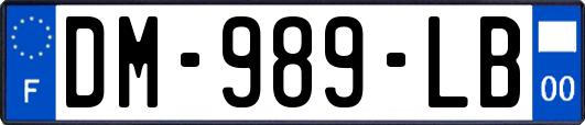 DM-989-LB