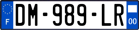 DM-989-LR