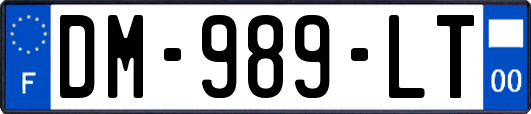 DM-989-LT