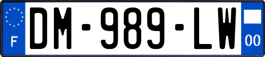 DM-989-LW