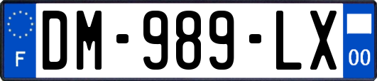 DM-989-LX